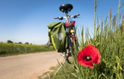 Pedalata serale in collaborazione con l'Avis locale
