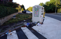 Largo Giusti: "Pile che si infilano nelle fognature in zona Piastra"