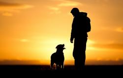 "Ceneri degli animali d'affezione tumulate con le spoglie del padrone"