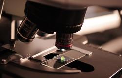 Studio epidemiologico sui vercellesi: "Miglioramenti rispetto al passato"