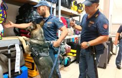 Esodo di Ferragosto, 482 stazioni controllate