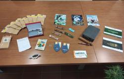 Trovate 5 piante di cannabis in un garage