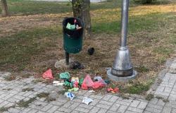 Vercelli: "I cestini non vengono svuotati da mesi"