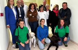 La pet therapy per i pazienti del Sant'Andrea