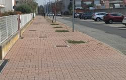 Vercelli: "Viali senza piante e spazi vuoti diventati discariche"
