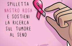 A Vercelli le spillette per contribuire alla ricerca sul tumore al seno