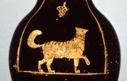 Il gatto nell'antica Grecia tra laboratori e conferenze