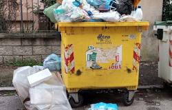 Vercelli: "Via Giolito: da giorni non ritirano la plastica"