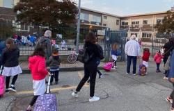 Vercelli: "In mensa dosi da fame"