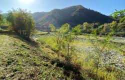 Pulizia dell'alveo del fiume Sesia per tutelare il rione Isola