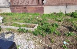 Cimitero dei Cappuccini: "Non c'è pulizia nemmeno per il giorno dei morti..."