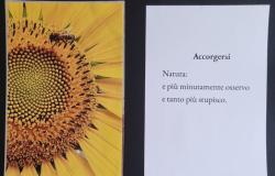 Mostra con le poesie di Maria Rosa Pantè e gli scatti di Silvana Mazza