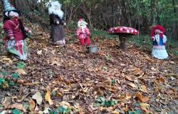 A Miagliano c'è un "magico" Bosco degli Gnomi