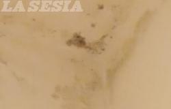 Alloggio Atc di corso Rigola: "Una perdita d'acqua misteriosa"
