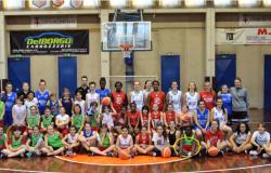 Pallacanestro femminile Vercelli: i risultati delle giovanili