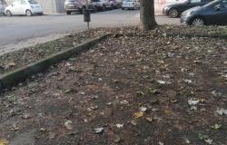 Vercelli: tappeto di foglie scivoloso e pericoloso