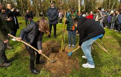 Nel bosco parco del Comprensivo Lanino piantati un corniolo e due querce