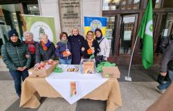 Soroptimist Vercelli: 16 giorni contro la violenza di genere