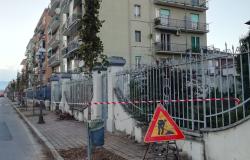 In via Colombo mattonelle alzate e alberi malati: la manutenzione