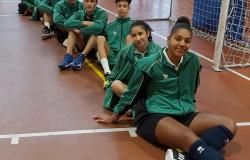 Vercelli: un torneo per ricordare la professoressa Paola Di Carlo