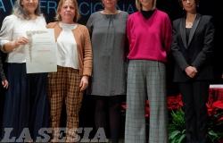 Danjela Bermeta