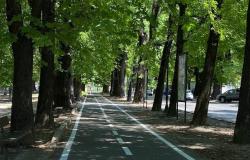 Corso De Gasperi: senso unico verso piazza Roma dal 27 dicembre