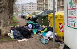  "Abiti sui marciapiedi vicino ai cassonetti, perchè nessuno fa nulla?"