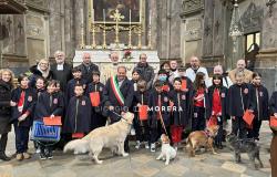 Vercelli: la benedizione del pane e degli animali per sant'Antonio Abate