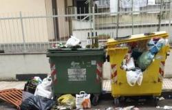Via Pigafetta: "Sono quindici giorni che non svuotano i cassonetti"