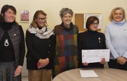 Vercelli: un aiuto alle donne in fuga dalla violenza domestica