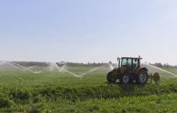 Piemonte: investimenti in irrigazione agricola per 55 milioni di euro