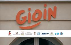 Vercelli: incontro su  “Sbocchi e Opportunità nel Mercato del Lavoro”