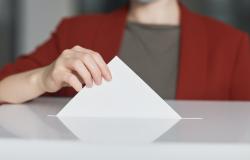 Elezioni europee: dove possono votare gli studenti fuori sede