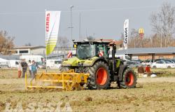 Aiuti ai giovani agricoltori: apre un bando da 2,5 milioni di euro