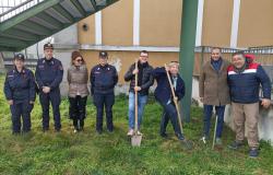 Trino: il progetto "Un albero per il futuro" arriva all'Alberghiero