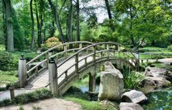 "Giardiniere d’arte", opportunità di formazione per 97 persone