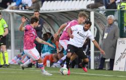 Pro Vercelli: più gamberi che Leoni