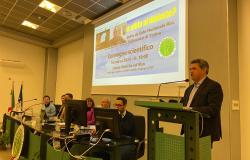 Il riso italiano vince la sfida contro il diabete