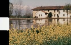 Al Museo Borgogna il progetto musicale e visivo "Acqua+Terra"
