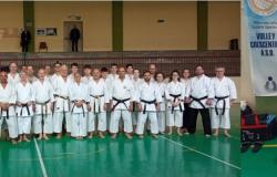 Crescentino: stage di karate riservato alle cinture nere