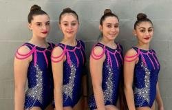 Libertas ginnastica Vercelli: buone le prestazioni di squadra