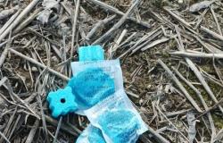 Borgo Vercelli: esche pericolose per cani e fauna selvatica