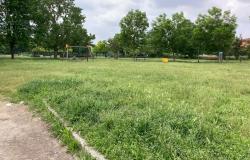 Vercelli: aree verdi invase dalle erbacce