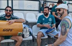 Pro e Palmeiras: tre curiosità che…