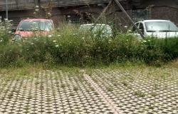 Corso Fiume: "Questa è la situazione del parcheggio"