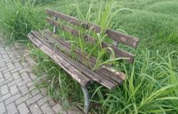 Via Rossi: "Queste sono le condizioni dei giardini e delle panchine"