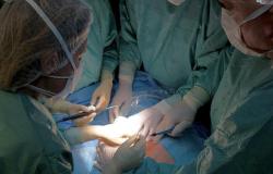 Gravidanza con utero all'interno di una grande ernia: salvate madre e figlia