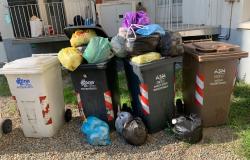 Via Guicciardini: "Rifiuti, ma che cosa sta succedendo a Vercelli?"
