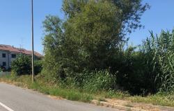Rione Concordia: "Siamo invasi da erba ed immondizia"