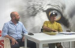 Vercelli: "Erbacce fuori controllo, ecco le mie soluzioni"